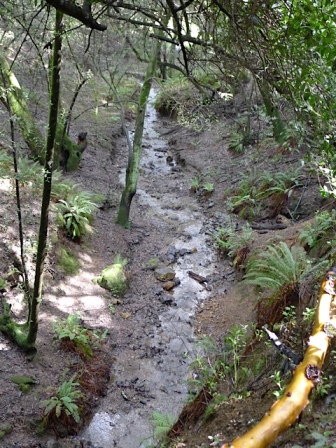 View of San Leandro Creek on way back