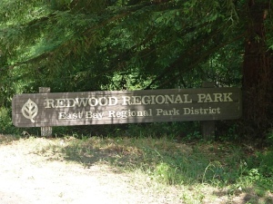 Redwood-Entrance